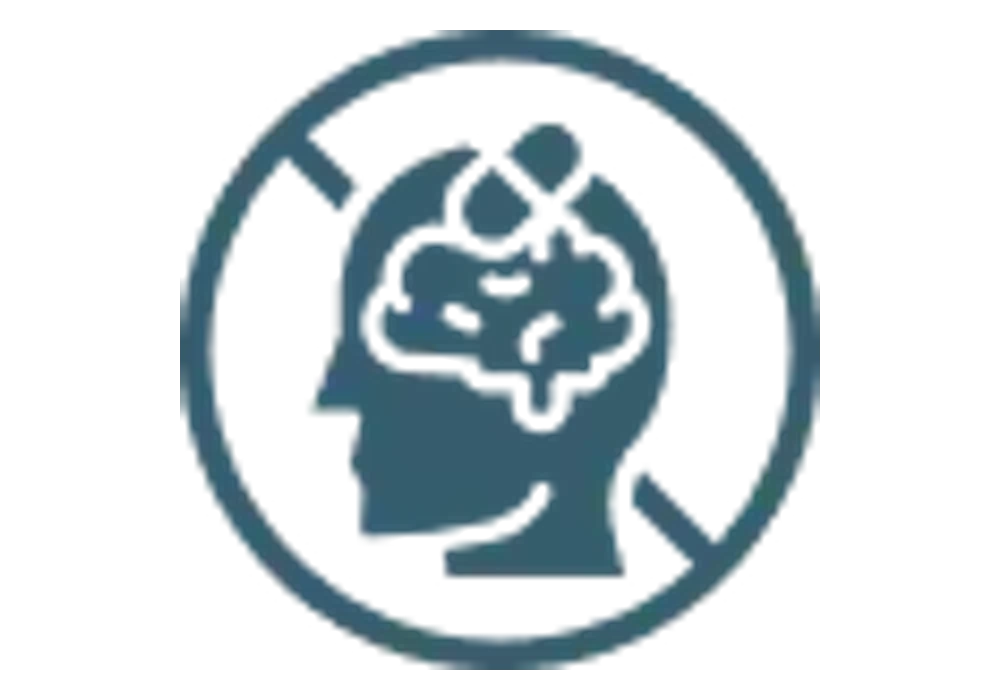 Pineal Guardian X — 1-bottle pack